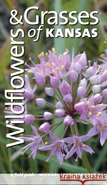 Wildflowers and Grasses of Kansas: A Field Guide Haddock, Michael J. 9780700613700 University Press of Kansas - książka