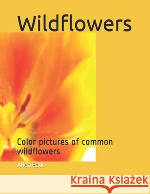Wildflowers: Color pictures of common wildflowers Paul, Allen 9798526228220 Independently published - książka