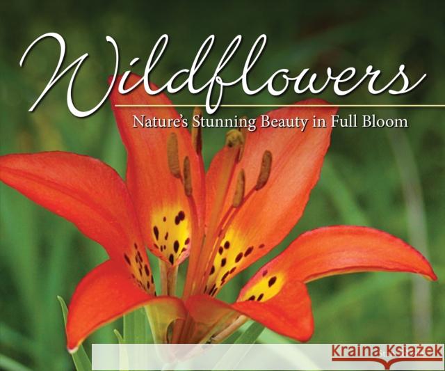 Wildflowers: Nature's Stunning Beauty on Display  9781591937883 Adventure Publications - książka