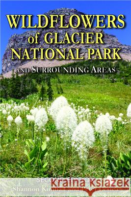 Wildflowers of Glacier National Park: And Surrounding Areas Shannon Kimball Peter Lesica 9780878427093 Trillium Press - książka