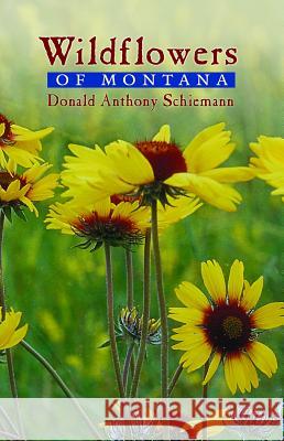 Wildflowers of Montana Donald Anthony Schiemann 9780878425044 Mountain Press Publishing Company - książka