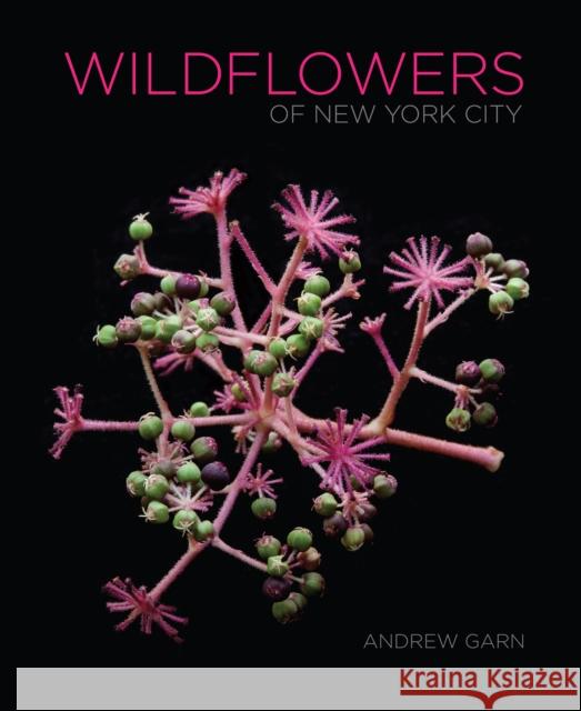 Wildflowers of New York City - audiobook Garn, Andrew 9781501751622 Three Hills - książka