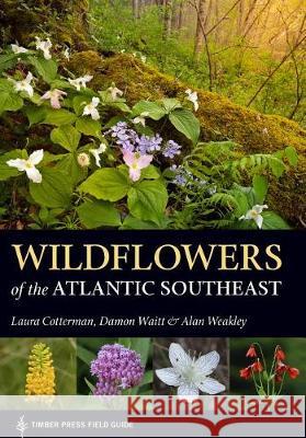 Wildflowers of the Atlantic Southeast Laura Cotterman Damon Waitt Alan Weakley 9781604697605 Timber Press (OR) - książka