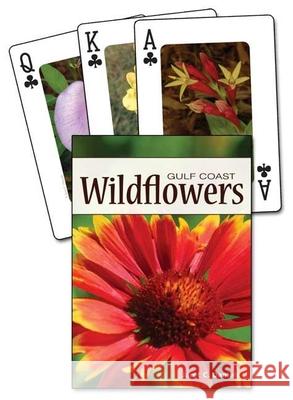 Wildflowers of the Gulf Coast Jaret Daniels 9781591933694 Adventure Publications(MN) - książka