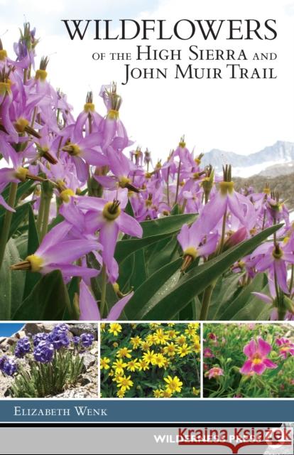 Wildflowers of the High Sierra and John Muir Trail Elizabeth Wenk 9781643590073 Wilderness Press - książka