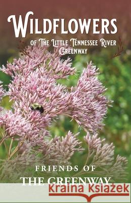 Wildflowers of The Little Tennessee River Greenway Inc Friend Monica A. Collier 9781737400349 Red Press Co - książka