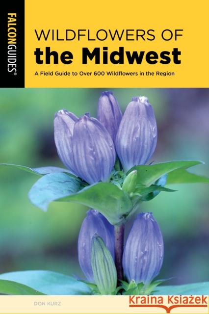 Wildflowers of the Midwest: A Field Guide to Over 600 Wildflowers in the Region Don Kurz 9781493046249 Falcon Press Publishing - książka