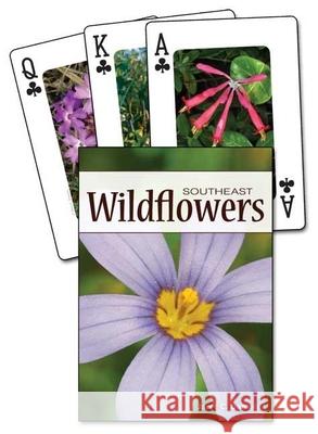 Wildflowers of the Southeast Jaret Daniels 9781591933687 Adventure Publications(MN) - książka