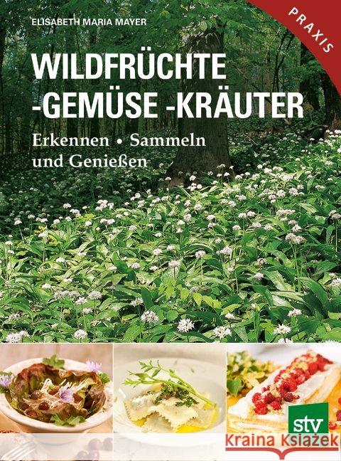 Wildfrüchte, -gemüse. -kräuter : Erkennen - Sammeln und Genießen Mayer, Elisabeth M. 9783702016593 Stocker - książka