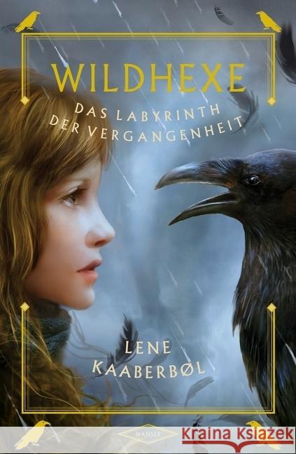 Wildhexe - Das Labyrinth der Vergangenheit Kaaberbøl, Lene 9783446247871 Hanser - książka