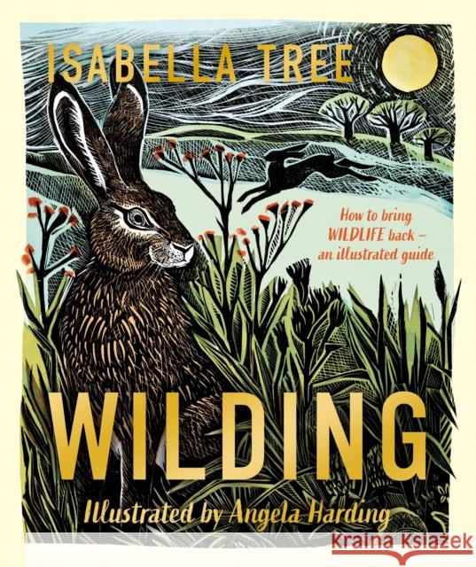 Wilding: How to Bring Wildlife Back - The NEW Illustrated Guide Isabella Tree 9781529092844 Pan Macmillan - książka