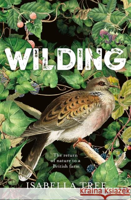 Wilding: The Return of Nature to a British Farm Tree, Isabella 9781509805099  - książka