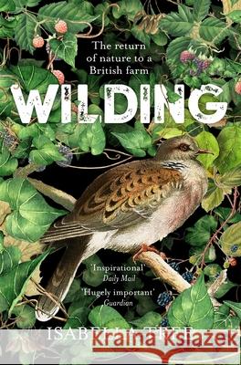 Wilding: The Return of Nature to a British Farm Isabella Tree   9781509805105 Pan Macmillan - książka