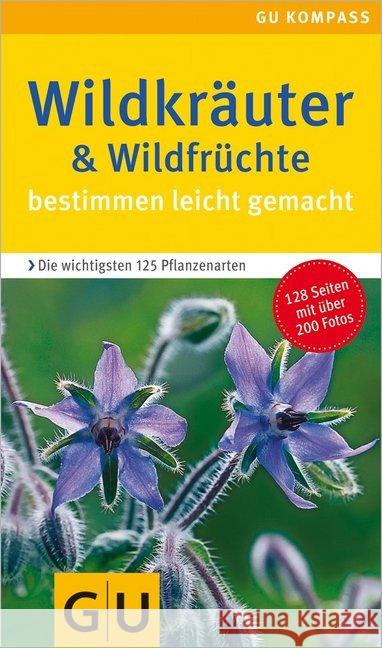 Wildkräuter & Wildfrüchte bestimmen leicht gemacht : Die wichtigsten 125 Pflanzenarten. Extra: Typische Merkmale    9783774263185 Gräfe & Unzer - książka