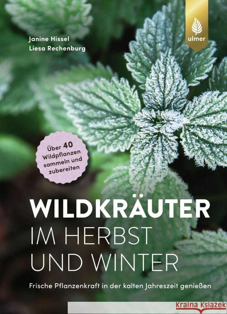 Wildkräuter im Herbst und Winter Hissel, Janine, Rechenburg, Liesa 9783818616427 Verlag Eugen Ulmer - książka