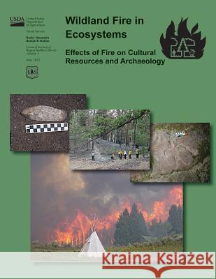 Wildland Fire in Ecosystems Effects of Fire on Cultural Resources and Archaeology Forest U 9781506121475 Createspace - książka