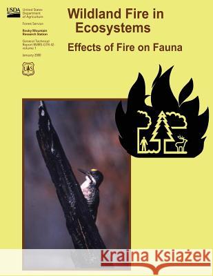 Wildland Fire in Ecosystems: Effects of Fire on Fauna L. Jack Lyon Mark H. Huff Robert G. Hooper 9781480198968 Createspace - książka