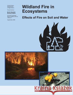 Wildland Fire in Ecosystems: Effects of Fire on Soil and Water U. S. Department of Agriculture Forest Service 9781973807537 Createspace Independent Publishing Platform - książka