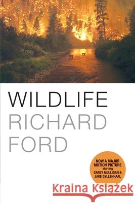 Wildlife Richard Ford 9780802144591 Grove Press - książka