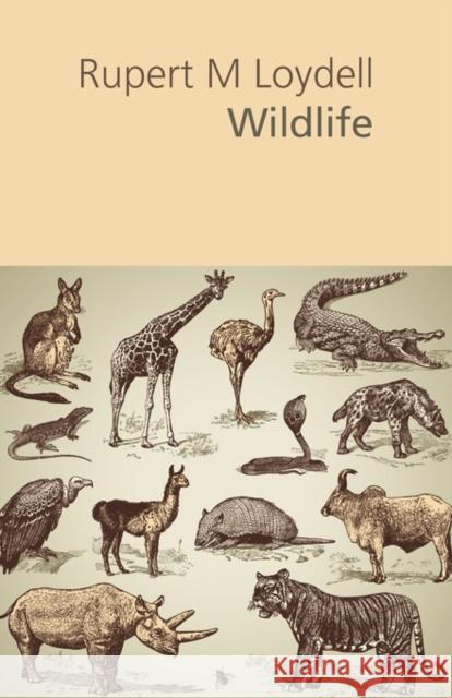 Wildlife Rupert M. Loydell 9781848611528 Shearsman Books - książka