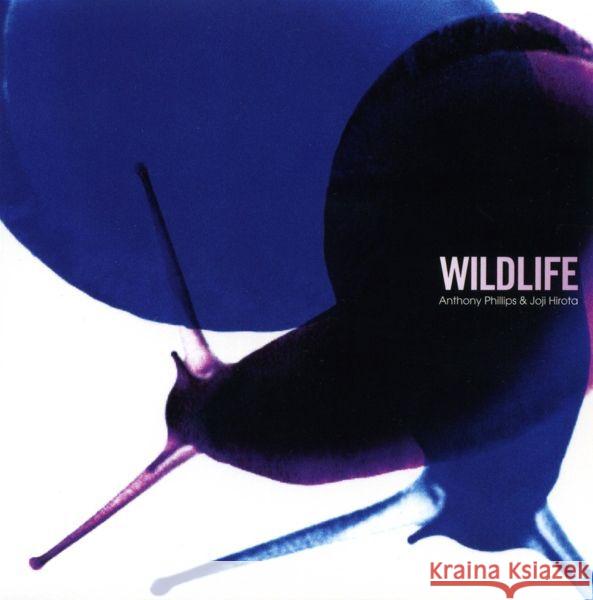 Wildlife, 2 Audio-CD (Remastered and Expanded Edition) Phillips, Anthony, Hirota, Joji 5013929482692 Cherry Red Records - książka