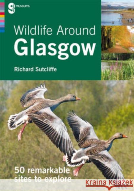 Wildlife Around Glasgow: 50 Remarkable Sites to Explore Richard Sutcliffe 9780902752962 Glasgow Museums Publishing - książka