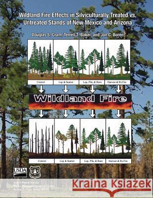 Wildlife Fire Effects in Silviculturally Treated vs Untreated Stands of New Mexico and Arizona Usda Forest Service 9781511539630 Createspace - książka