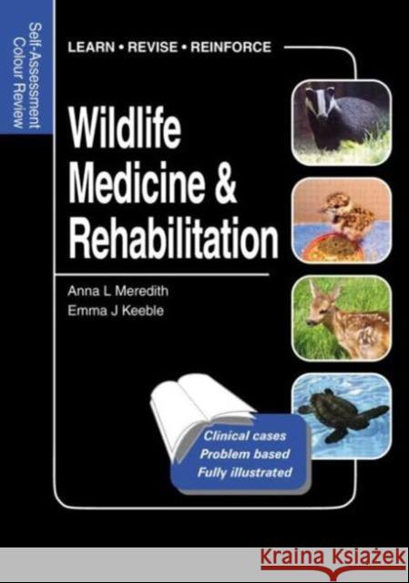 Wildlife Medicine and Rehabilitation: Self-Assessment Color Review Meredith, Anna 9781840761467 Thieme Medical Publishers - książka