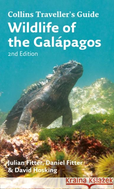 Wildlife of the Galapagos David Hosking 9780008156732 HarperCollins Publishers - książka
