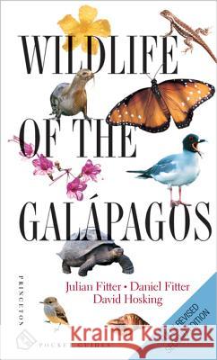 Wildlife of the Galápagos: Second Edition Fitter, Julian 9780691170428 John Wiley & Sons - książka
