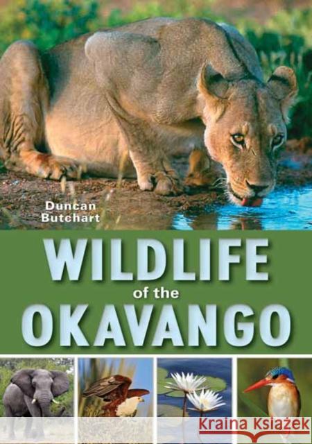 Wildlife of the Okavango Duncan Butchart 9781775843382 Penguin Random House South Africa - książka