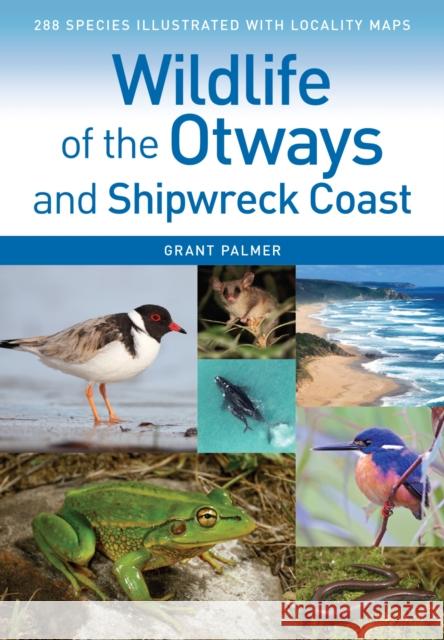Wildlife of the Otways and Shipwreck Coast Grant Palmer   9781486308989 CSIRO Publishing - książka