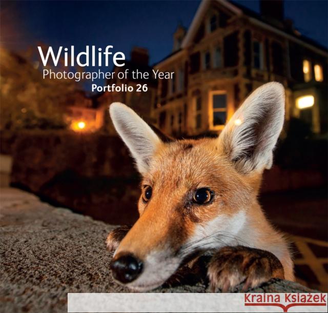 Wildlife Photographer of the Year 26 Natural History Museum 9780565093952 The Natural History Museum - książka