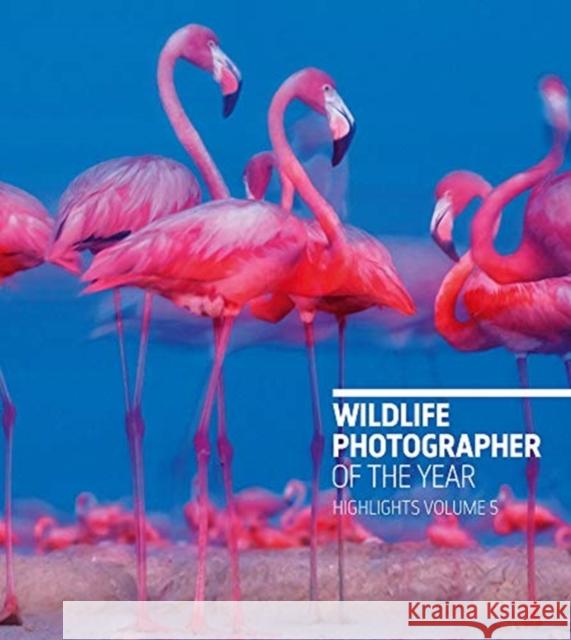 Wildlife Photographer of the Year: Highlights Volume 5 Rosamund Kidma 9780565094874 Natural History Museum - książka