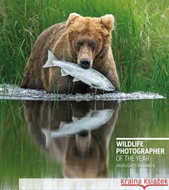 Wildlife Photographer of the Year: Highlights Volume 6: Volume 6  9780565094935 The Natural History Museum - książka