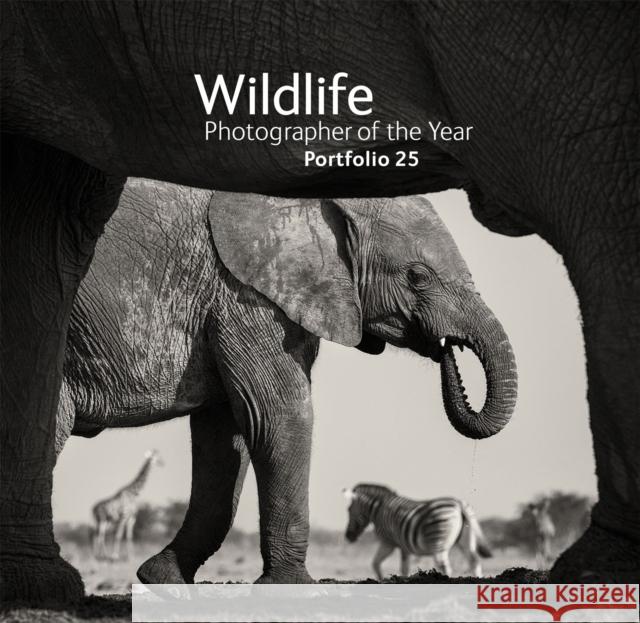 Wildlife Photographer of the Year: Portfolio 25 Rosamund Kidma 9780565093778 The Natural History Museum - książka