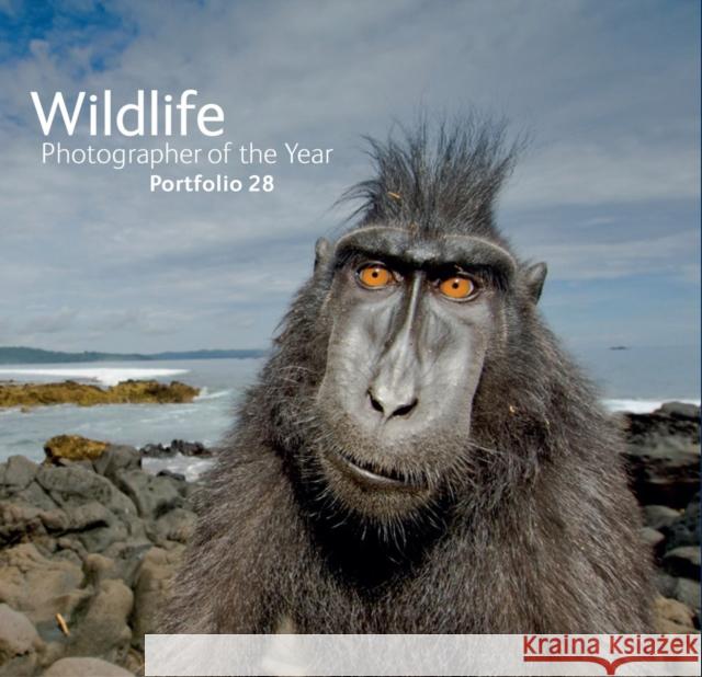 Wildlife Photographer of the Year: Portfolio 28 Kidman Cox, Rosamund 9780565094287 The Natural History Museum - książka