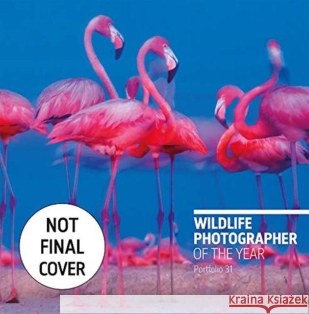 Wildlife Photographer of the Year: Portfolio 31 ROSAMUND  KIDMAN COX 9780565095208 The Natural History Museum - książka