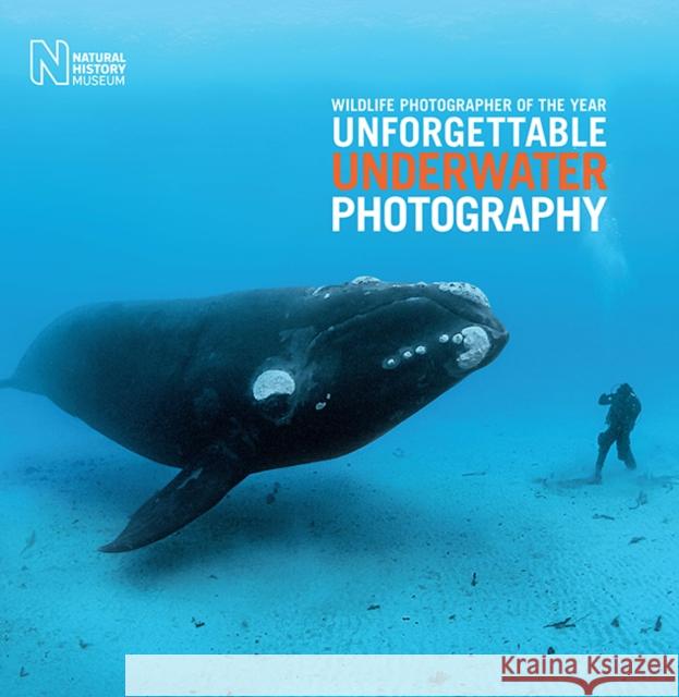 Wildlife Photographer of the Year: Unforgettable Underwater Photography Rosamund Kidma 9780565094560 The Natural History Museum - książka