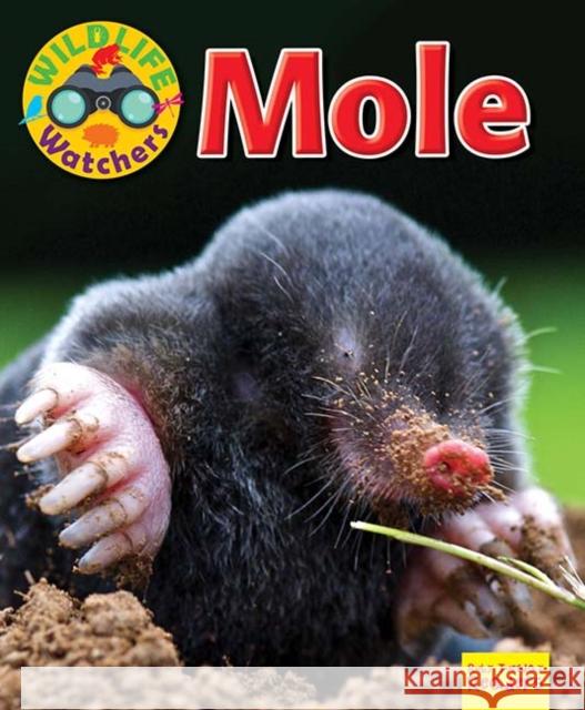 Wildlife Watchers: Mole Ruth Owen 9781911341253 Ruby Tuesday Books Ltd - książka