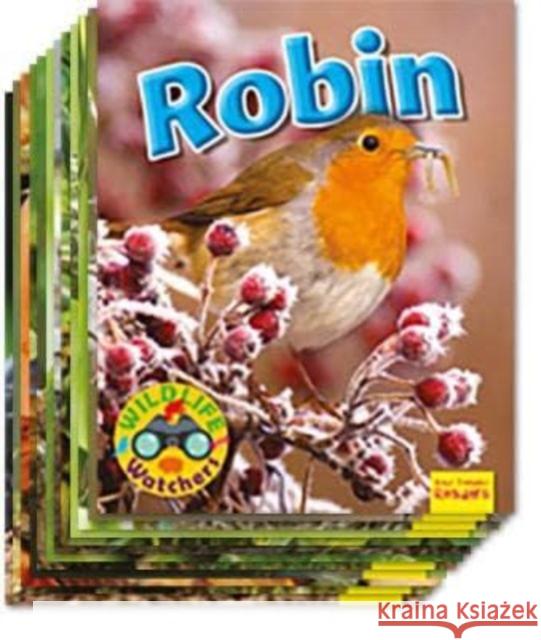 Wildlife Watchers Set of 12 Ruth Owen 9781911341550 Ruby Tuesday Books Ltd - książka