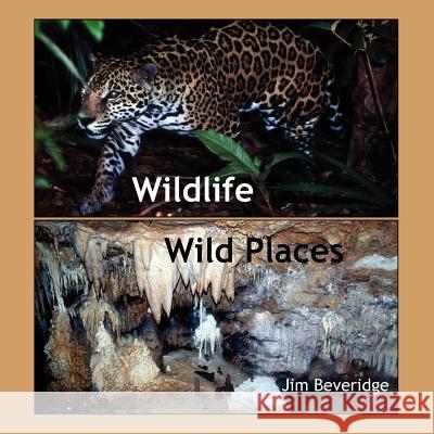 Wildlife-Wild Places Jim Beveridge 9789768142313 Produccicones de La Hamaca - książka