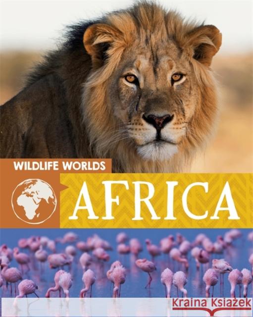 Wildlife Worlds: Africa  9781445166865 Hachette Children's Group - książka