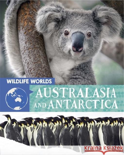 Wildlife Worlds: Australasia and Antarctica  9781445167268 Hachette Children's Group - książka