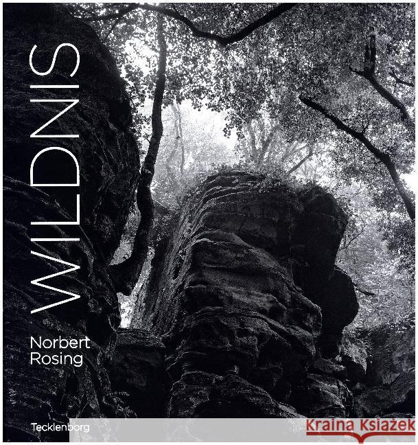 Wildnis Rosing, Norbert 9783944327624 Tecklenborg - książka