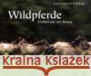 Wildpferde : Freiheit auf vier Beinen Lamm, Bernd Radinger, Elli H.  9783934427846 Tecklenborg