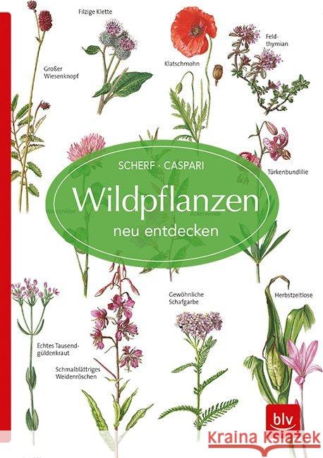 Wildpflanzen neu entdecken Scherf, Gertrud; Caspari, Claus 9783835418172 BLV Buchverlag - książka