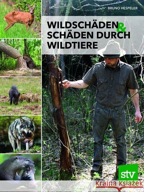 Wildschäden & Schäden durch Wildtiere Hespeler, Bruno 9783702018146 Stocker - książka