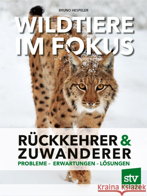 Wildtiere im Fokus Hespeler, Bruno 9783702020149 Stocker - książka