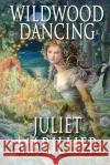 Wildwood Dancing Juliet Marillier 9781447247975 Pan Macmillan